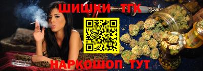 сатива Кингисепп
