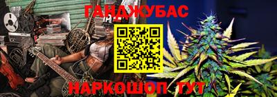 сатива Кингисепп