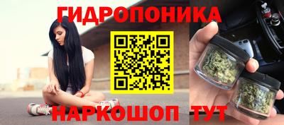 сатива Кингисепп