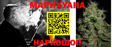 сатива Кингисепп