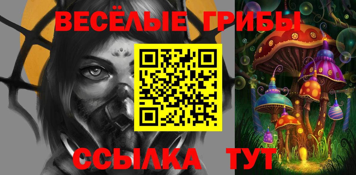 Псилоцибиновые грибы Cubensis Мегион