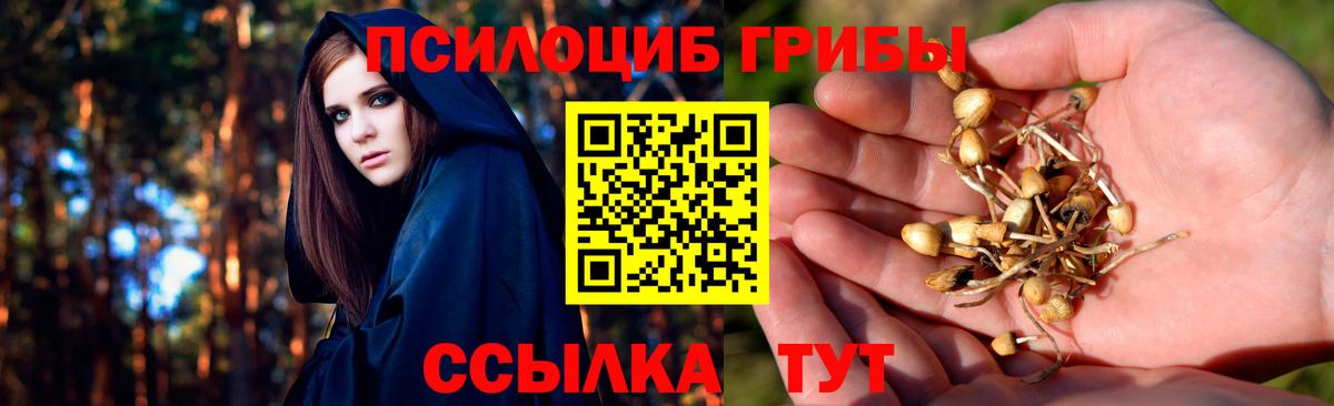 Псилоцибиновые грибы GOLDEN TEACHER  Вход с VPN  Мегион 